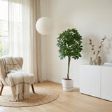 Product afbeelding 3