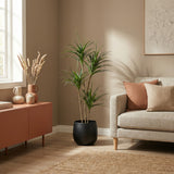 Product afbeelding 5