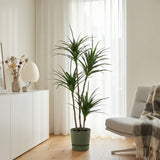 Product afbeelding 6