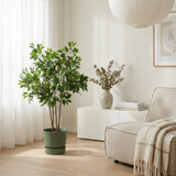 Product afbeelding 3