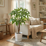 Product afbeelding 6