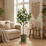 Product afbeelding 3