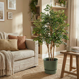 Product afbeelding 6