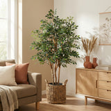 Product afbeelding 5