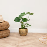 Product afbeelding 4