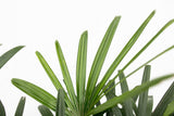 Product afbeelding 3