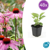 Product afbeelding 12