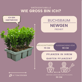 Product afbeelding 3