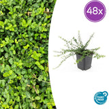 Product afbeelding 9