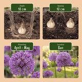 Blomsterløg mix Prydløg