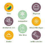 Product afbeelding 6