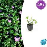 Product afbeelding 9