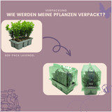 Product afbeelding 6