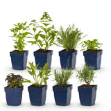Product afbeelding 2