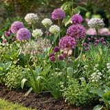 Blomsterløg mix Prydløg