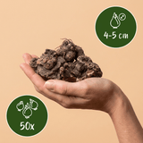 Anemoonbollen Blanda mix