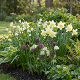 Flower bulb mix Moist garden