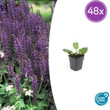 Product afbeelding 9