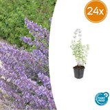 Product afbeelding 9