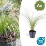 Product afbeelding 10