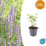 Product afbeelding 11
