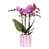 Product afbeelding 4
