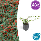 Product afbeelding 14