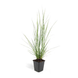 Product afbeelding 7