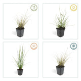 Product afbeelding 2