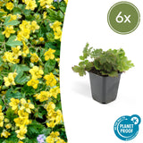 Product afbeelding 9