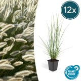 Product afbeelding 10