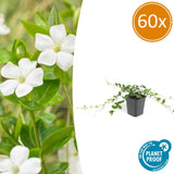 Product afbeelding 1