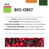 Bio-Feigenbäume - 20cm