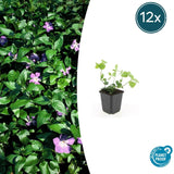 Product afbeelding 7