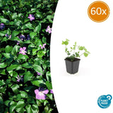 Product afbeelding 10