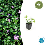 Product afbeelding 1