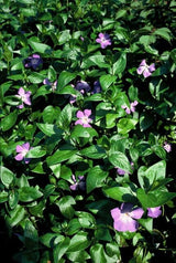 Product afbeelding 2